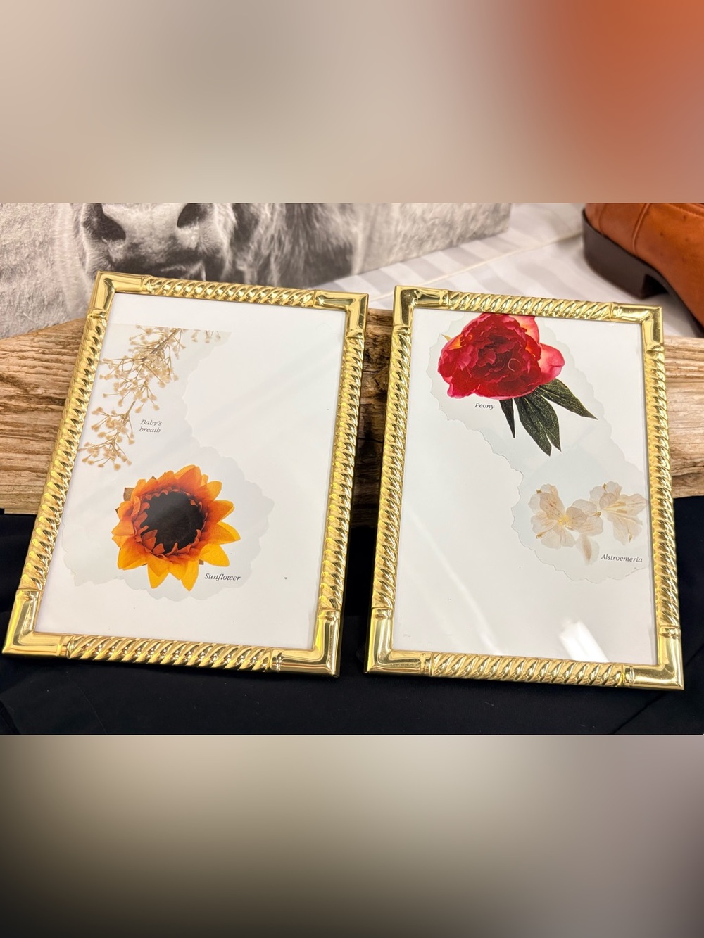 2 Gold Rope-Edge Photo Frames 5x7 Vintage - White Insert